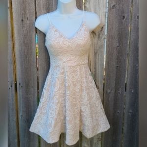 Fit and Flare Dress in Neutral Colors with Lace Overlay